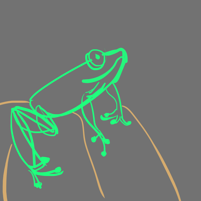 So many frogs in my feeds